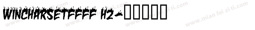 WinCharSetFFFF H2字体转换